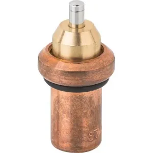 Top-Angebot Ersatz-Thermostateinsatz 55°C für Frischwasserstation KISS HE